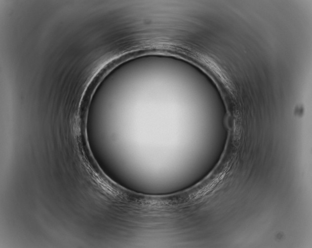 X0000101220924200806271444
