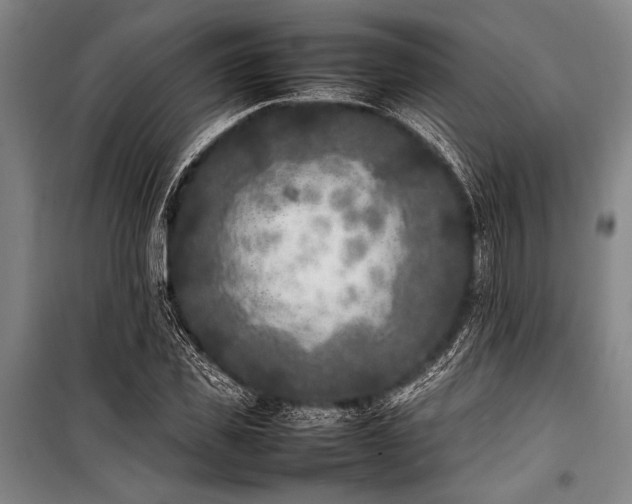 X0000101220925200806271444