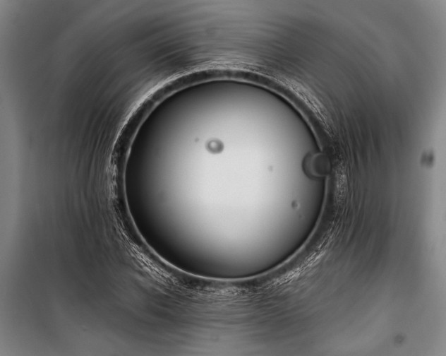 X0000101220926200806271444