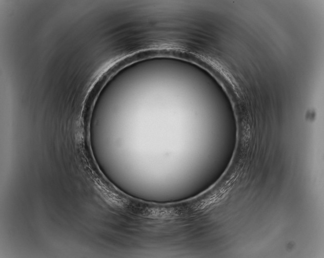 X0000101220927200806271444
