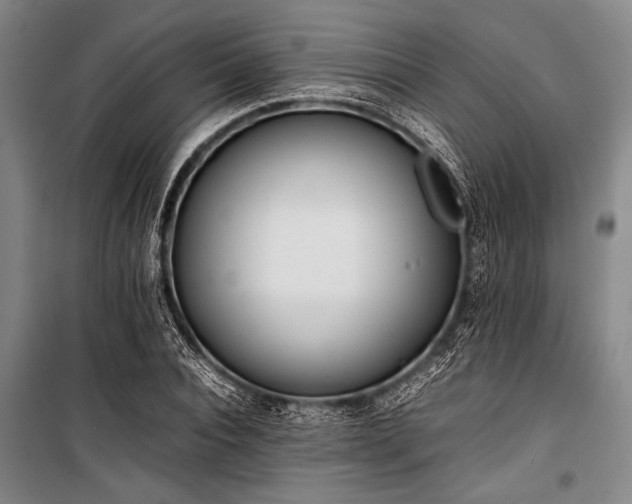 X0000101220928200806271444