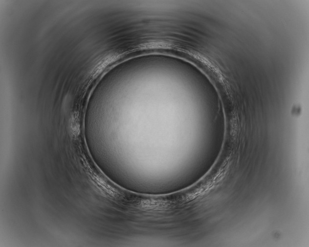 X0000101220929200806271444
