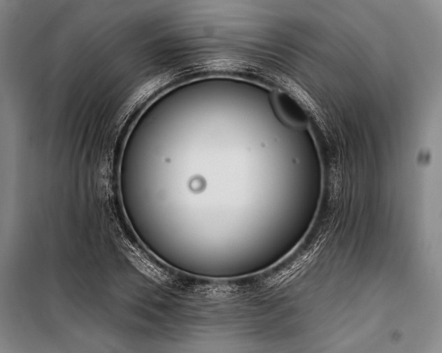 X0000101220930200806271444