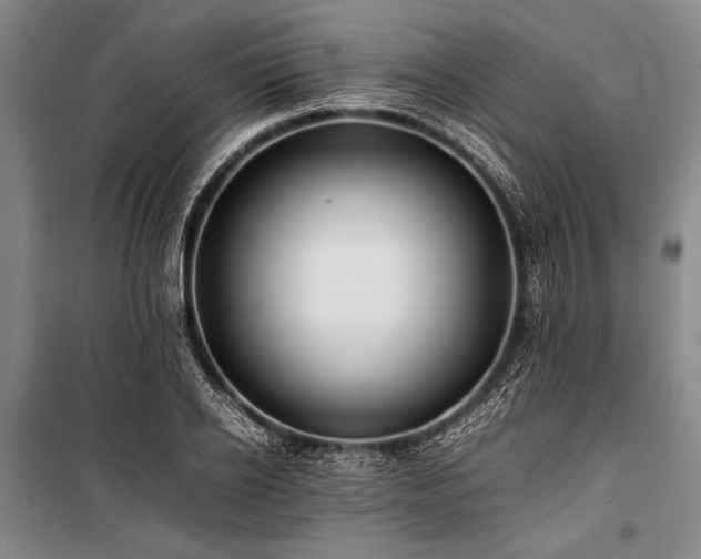 X0000101220934200806271444