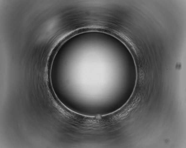 X0000101220935200806271444