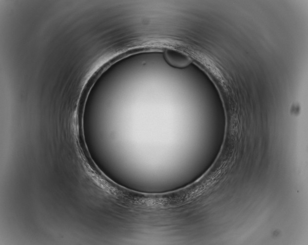 X0000101220936200806271444