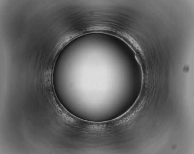 X0000101220937200806271444