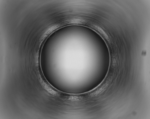 X0000101220938200806271444