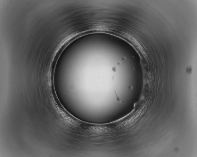 X0000101220939200806271444