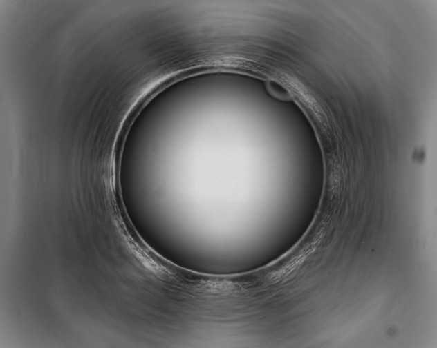 X0000101220940200806271444