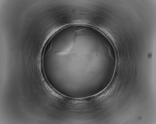 X0000101220941200806271444