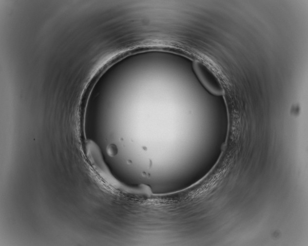 X0000101220942200806271444