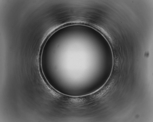 X0000101220943200806271444