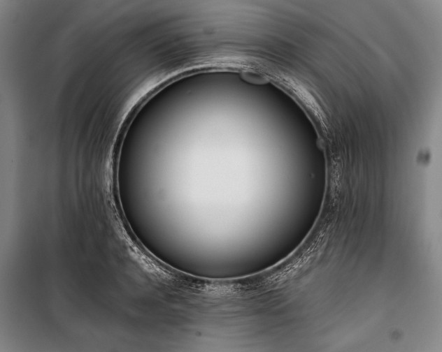 X0000101220944200806271444