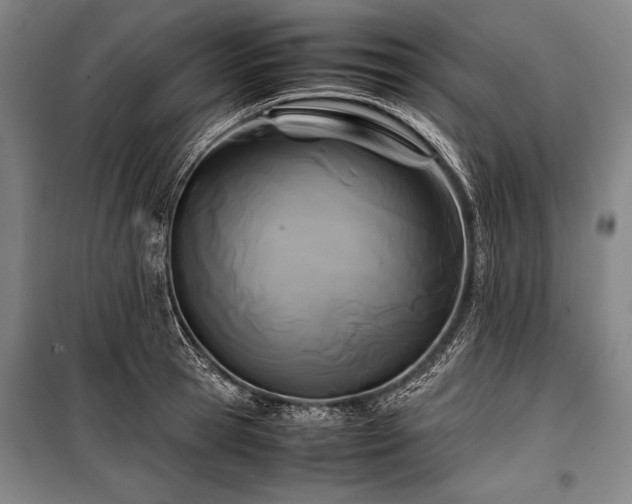 X0000101220945200806271444
