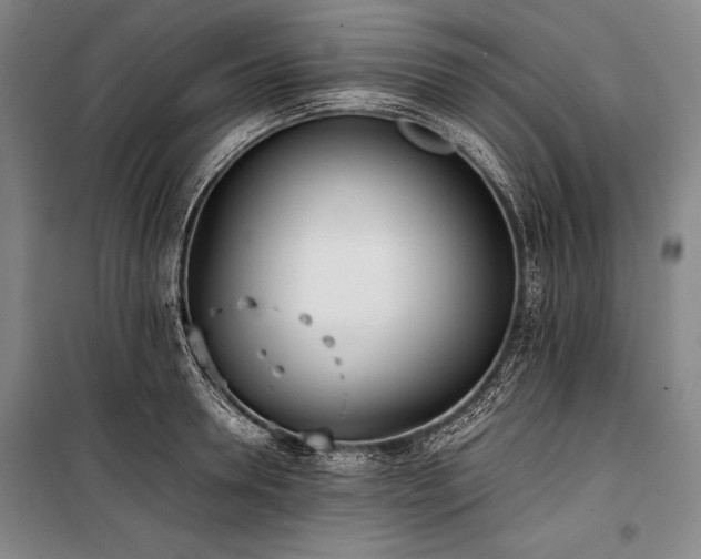 X0000101220946200806271444