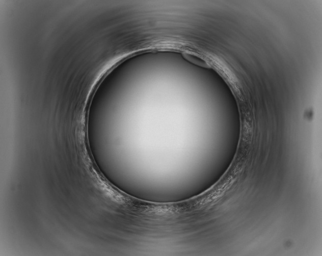 X0000101220948200806271444