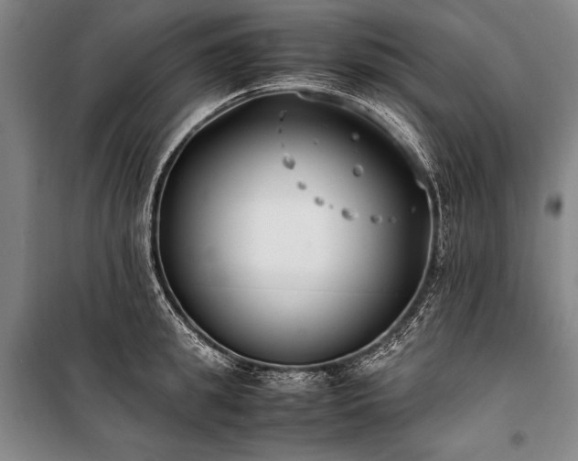 X0000101220949200806271444