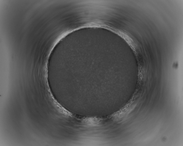 X0000101220950200806271444