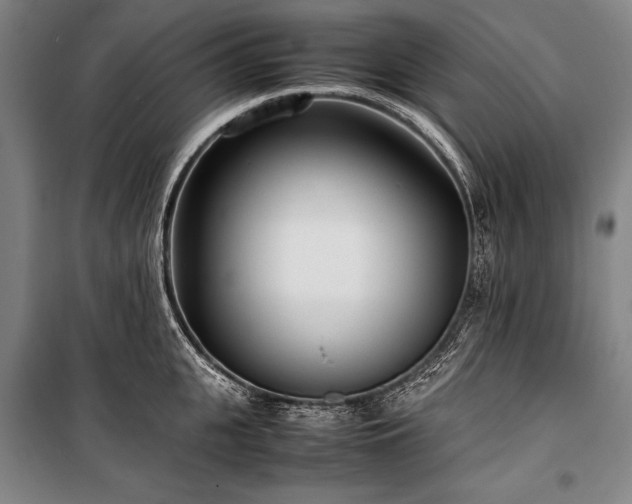 X0000101220951200806271444