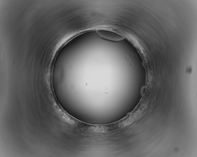 X0000101220952200806271444
