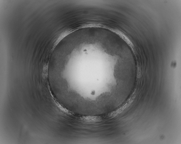 X0000101220953200806271444