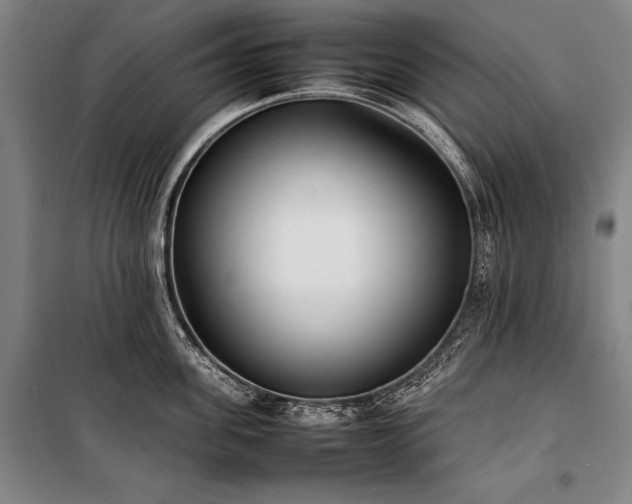 X0000101220955200806271444
