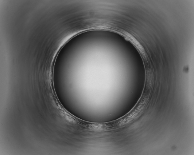 X0000101220956200806271444