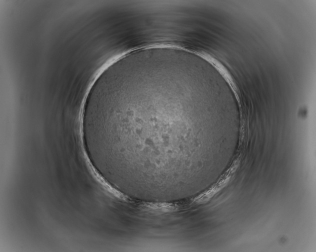X0000101220957200806271444