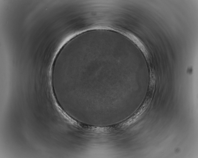X0000101220958200806271444