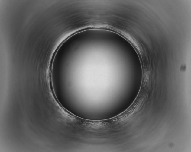 X0000101220959200806271444