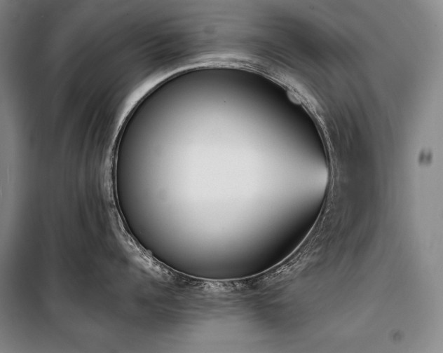 X0000101220960200806271444