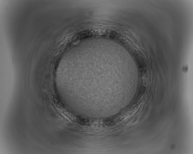 X0000101220961200806271443