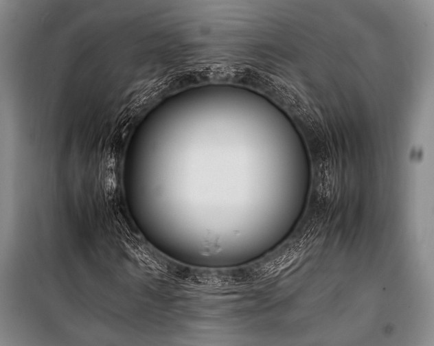 X0000101220962200806271443