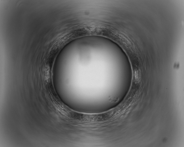 X0000101220963200806271443
