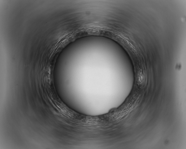 X0000101220964200806271443