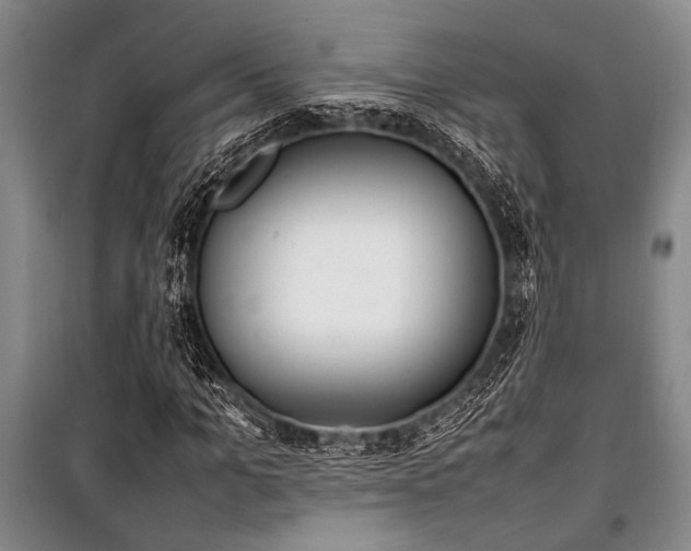 X0000101220965200806271443
