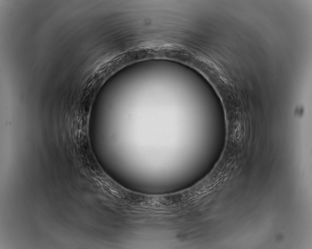 X0000101220966200806271443