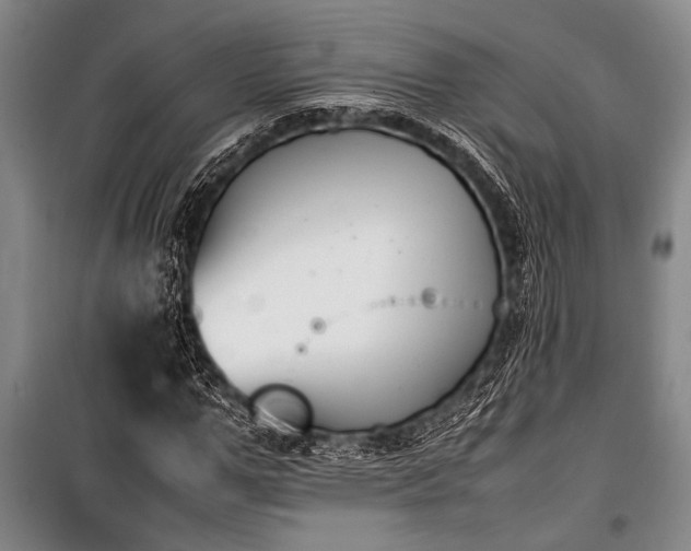 X0000101220967200806271443