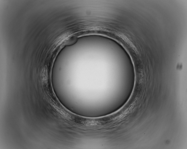 X0000101220969200806271443