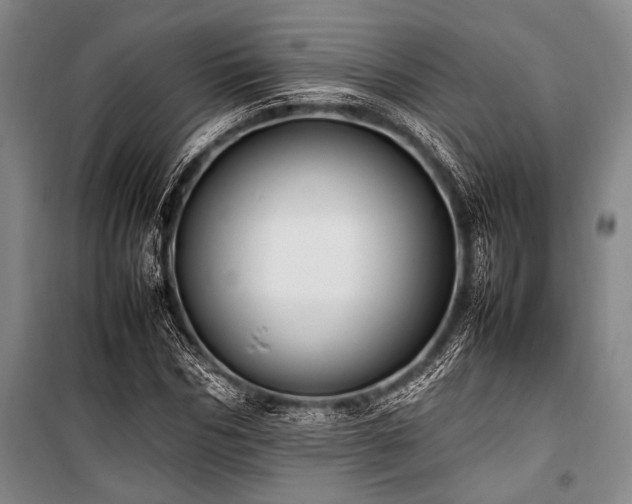 X0000101220970200806271443