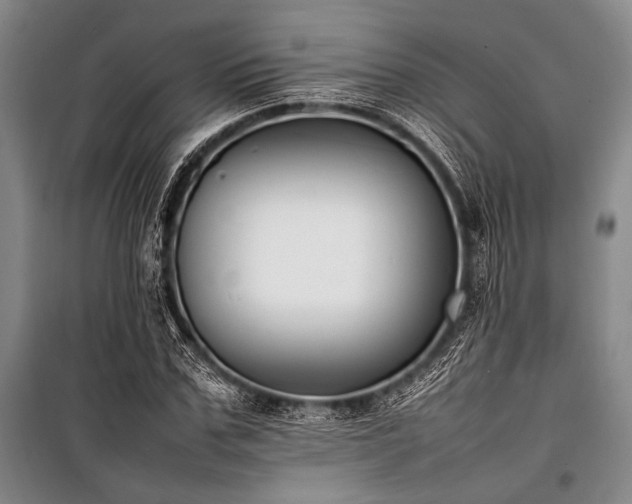 X0000101220971200806271443