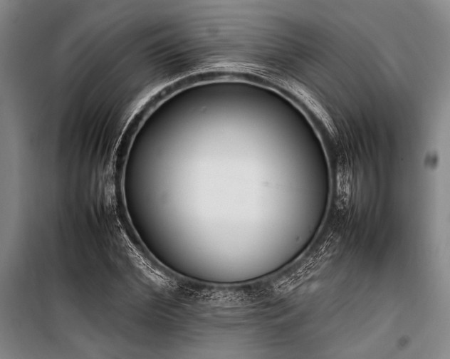 X0000101220972200806271443