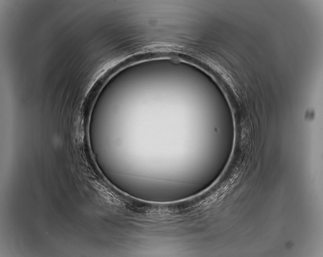 X0000101220973200806271443