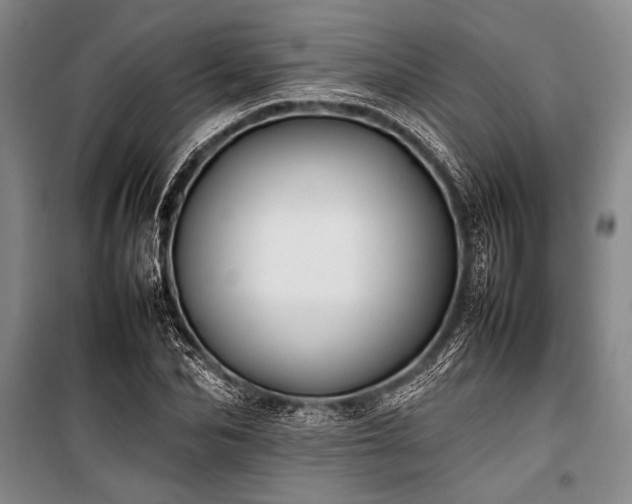 X0000101220974200806271443
