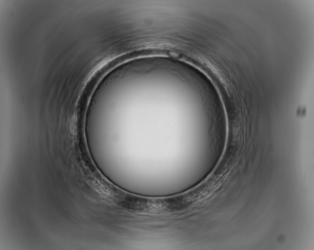 X0000101220975200806271443