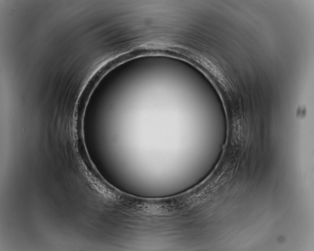 X0000101220976200806271443