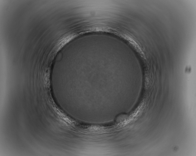 X0000101220977200806271443