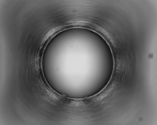 X0000101220978200806271443