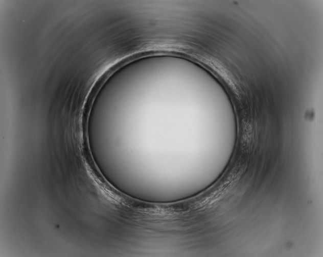 X0000101220980200806271443